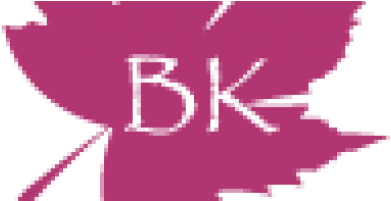 Beke Logo Facebook - Sky Bison (736x200), Png Download