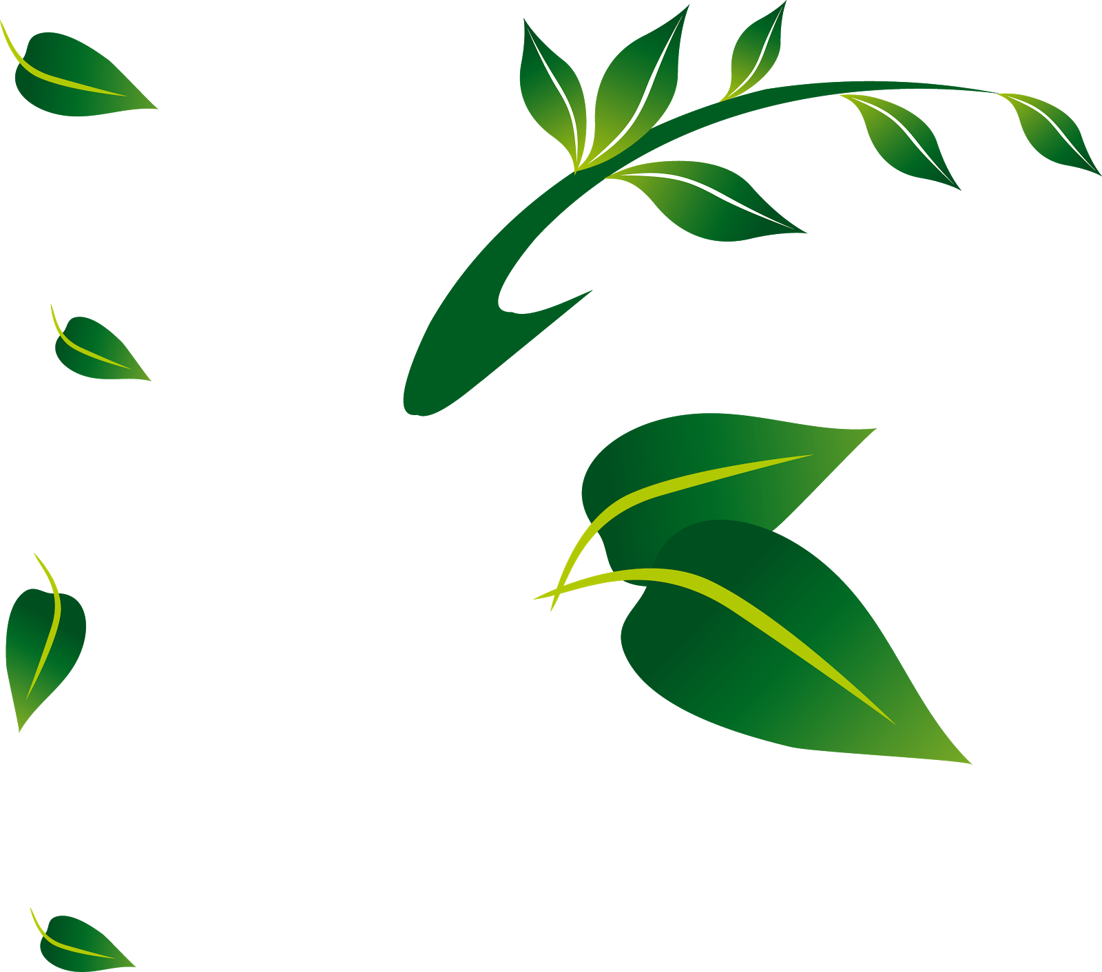 Leaves Floral - Floral Leaf Png (1600x1412), Png Download