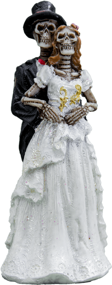 Download - Esqueleto De Noiva (850x1280), Png Download