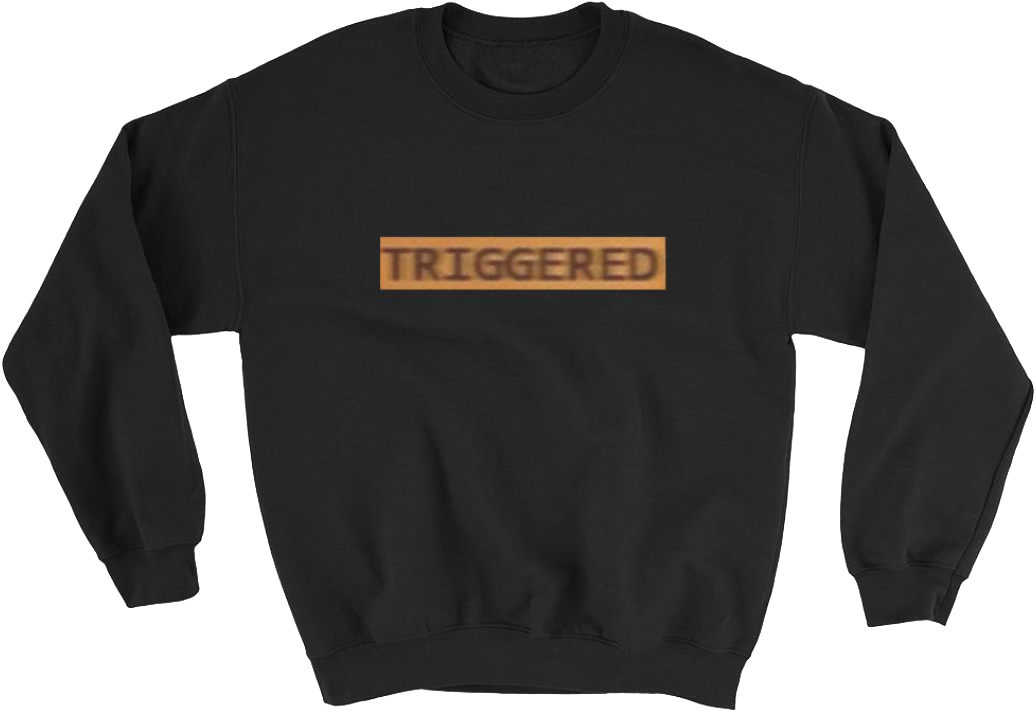 Triggered Sweatshirt - Porn Hub T Shirts (1060x1068), Png Download