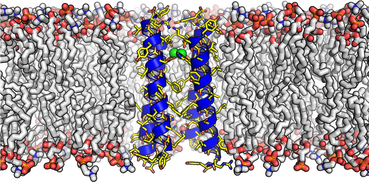 Creation Of 'rocker' Protein Opens Way For New Smart - Medicine Creation (1220x763), Png Download