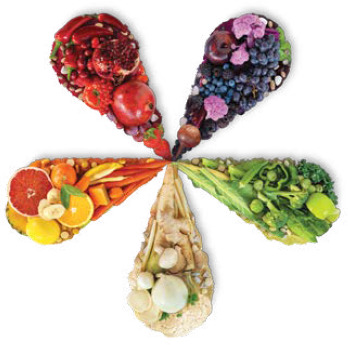 Contains Vitamins, Minerals And Phytonutrients - Nutrilite Phytonutrients (348x345), Png Download