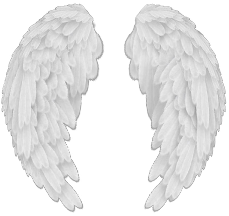 Baby Angel Wings Png - Baby Angels Wings Png (488x494), Png Download
