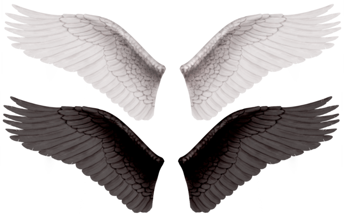 Крылья Png Для Фотошопа (699x439), Png Download