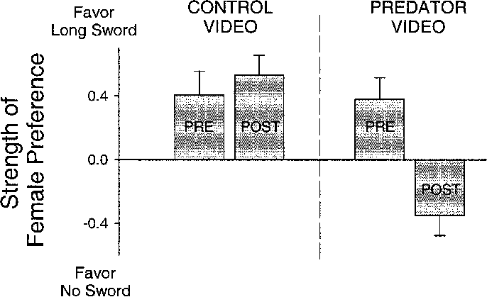 Strength Of Female Response For The Long-sword Male - Diagram (686x419), Png Download