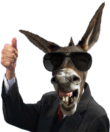 Related Wallpapers - Unique Umbrellas Funny Donkey Background Triple Folding (394x454), Png Download