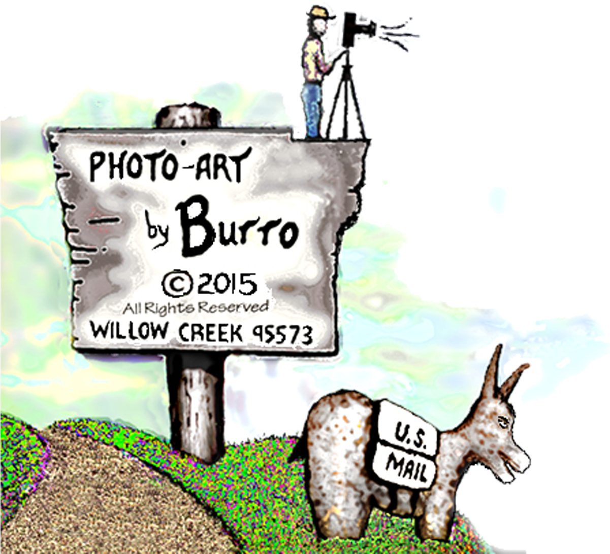 Photo-art By Burro - Cartoon (1200x1109), Png Download