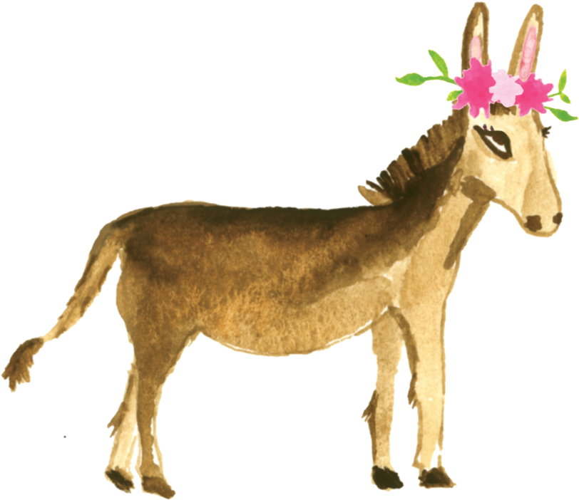 Burro - Animais Do Pampas Png (1000x800), Png Download