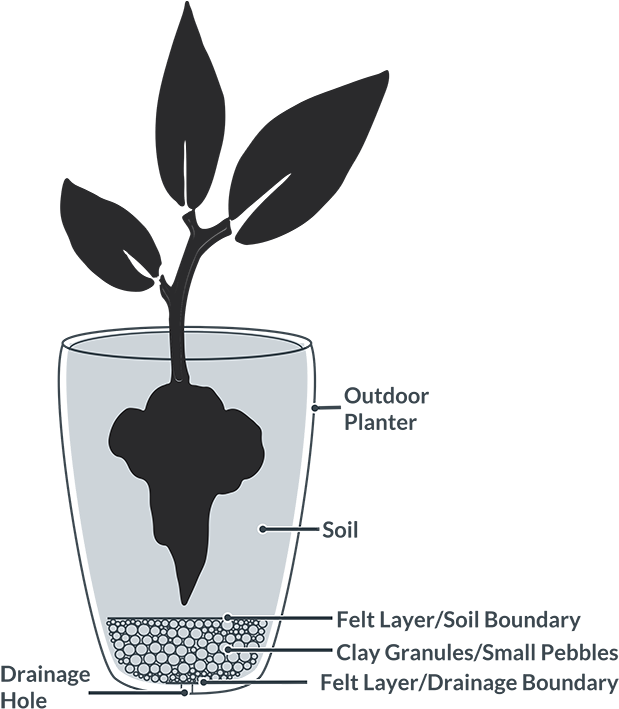 Outdoor Planting - Fruit (700x712), Png Download