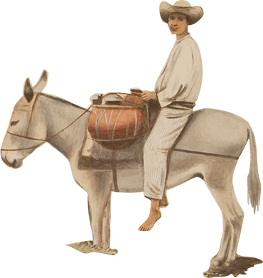 Parlx-burro - Sorrel (370x391), Png Download