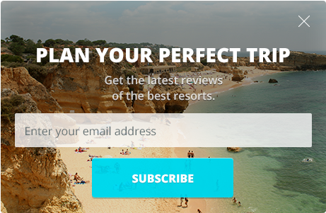 We Hired A Fancy Designer To Make 15 Gorgeous Scroll - Email Capture Box (540x460), Png Download