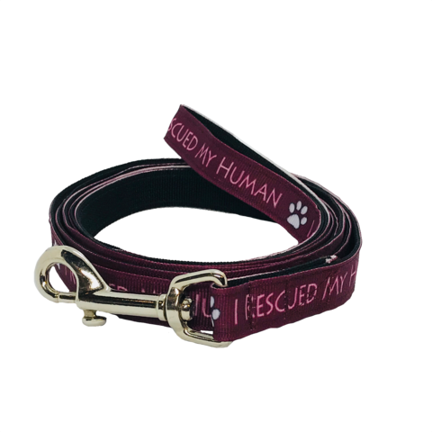 I Rescued My Human Dog Leash - Belt (480x480), Png Download