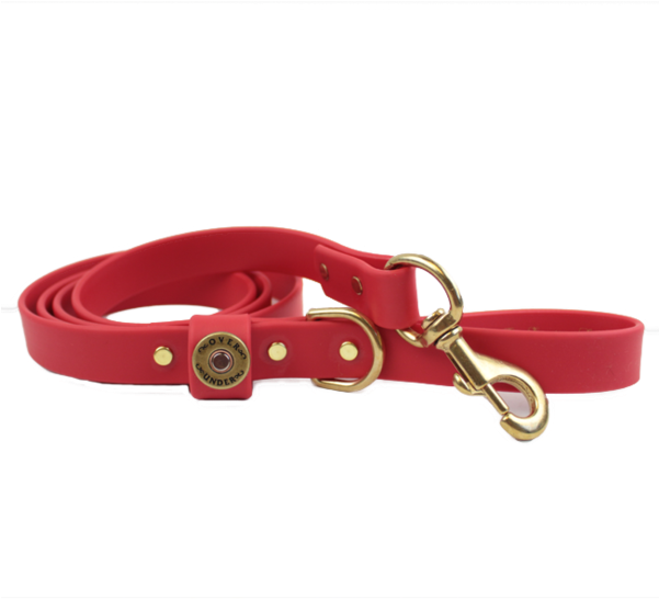 Over Under Water Dog Leash - Dog (600x600), Png Download