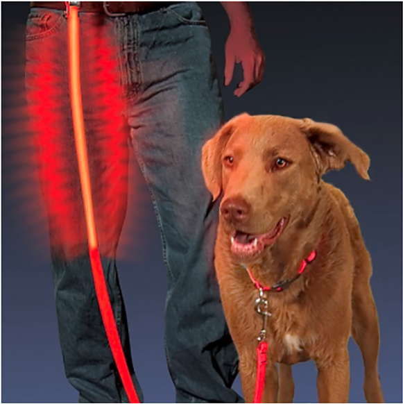 Glow Dog Leash - Nite Ize - Nite Dawg Pet Leash - Red Led (800x683), Png Download