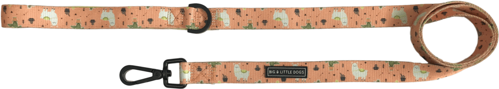 Dog Leash For Big And Small Dogs Mexicali Mexican Llamas - Dog (1023x309), Png Download