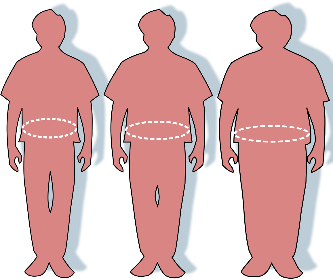 Natriuretic Peptides May Be The Key To Turning Unhealthy - Waist Circumference Clip Art (480x423), Png Download
