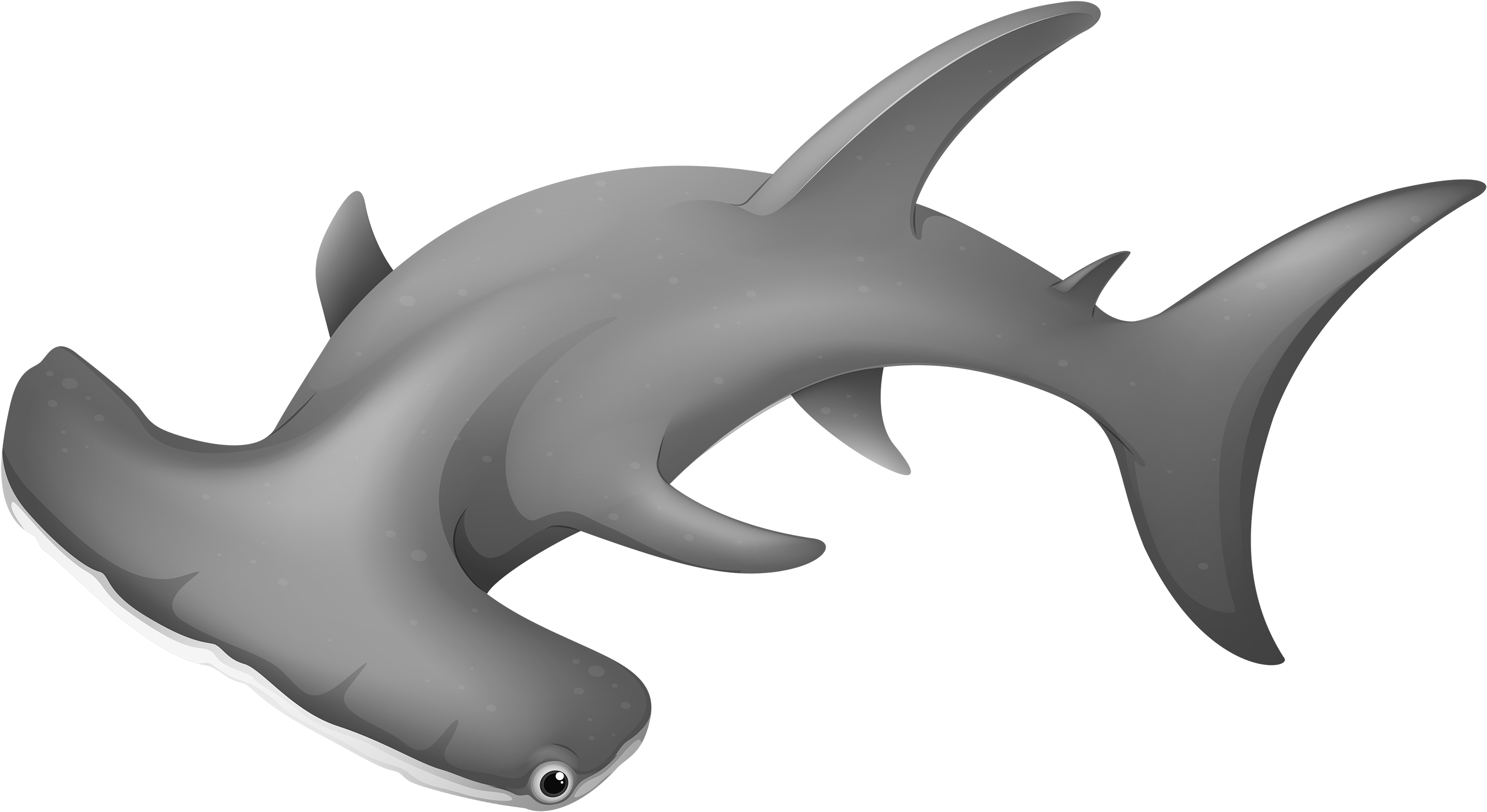 Hammerheadshark Png Clipart - Clip Art Hammerhead Shark Png (3000x1681), Png Download