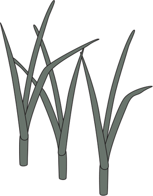 Ian Symbol Reeds - Wetland Symbol (312x400), Png Download