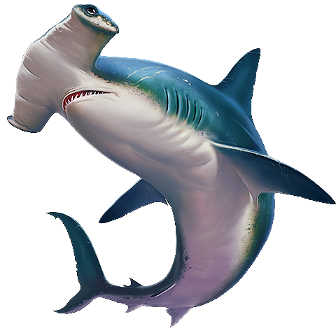 Http - //start - Att - Week/the Weirdest Shark Traits - Hammerhead Shark Logo (850x478), Png Download