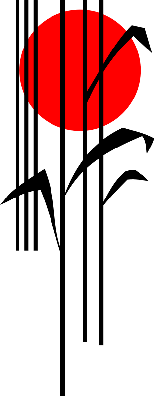 Reed In Reed - Nanakorobi Yaoki T Shirt (311x800), Png Download