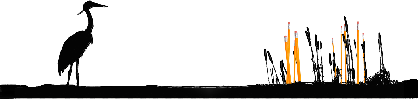 Reeds - Great Blue Heron (1366x755), Png Download