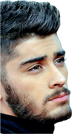 Louis Sides With Calvin In Zayn Malik Twitter Spat - Zayn Malik Transparent Png (339x473), Png Download