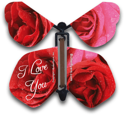 I Love You Wind Up Flying Butterfly - Rose (450x415), Png Download