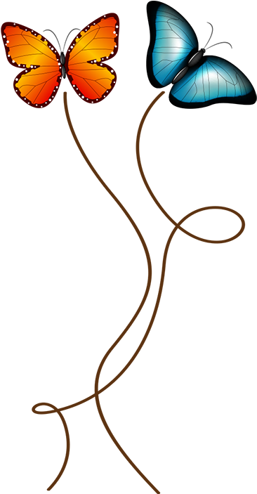Flying Butterflies Sticker (374x702), Png Download