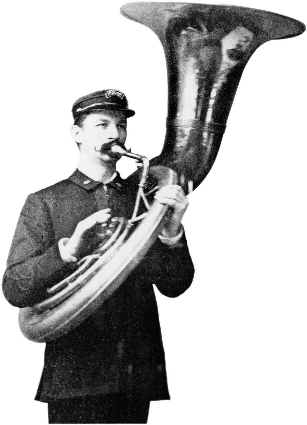 Sousaphone Player (1186x1600), Png Download