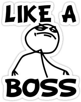 Like A Boss - Riding Roller Coaster Meme (375x360), Png Download