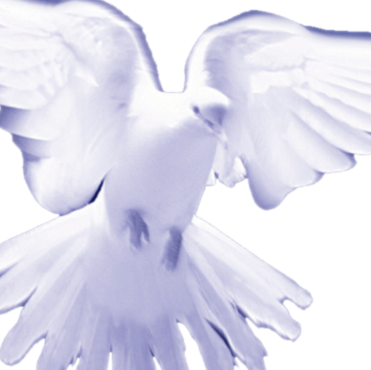 The Holy Spirit In Me - "lord, Giver Of Life" (530x529), Png Download
