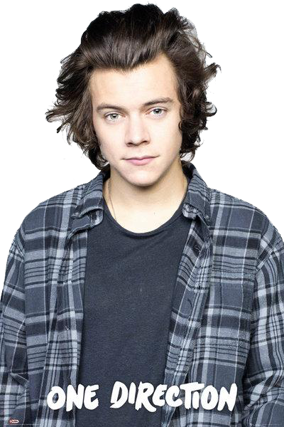 Image Result For Harry Styles - Harry One Direction 2015 (400x600), Png Download
