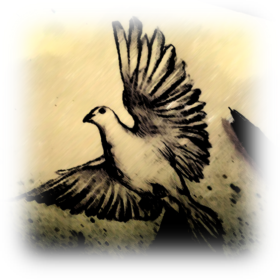 The Ministry Of The Holy Spirit Part Ii - Rallidae (564x564), Png Download