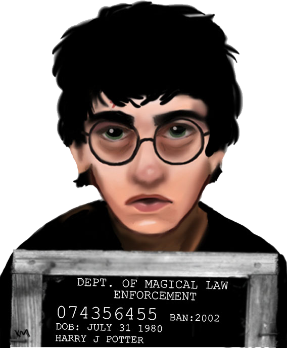 Lace Wig (568x689), Png Download