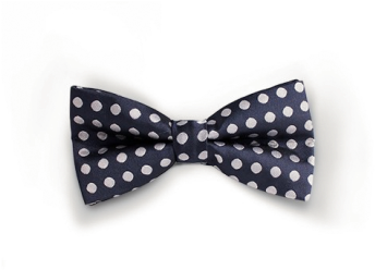 Essential Blue Dotted - Noeud Papillon Pour Homme (421x580), Png Download