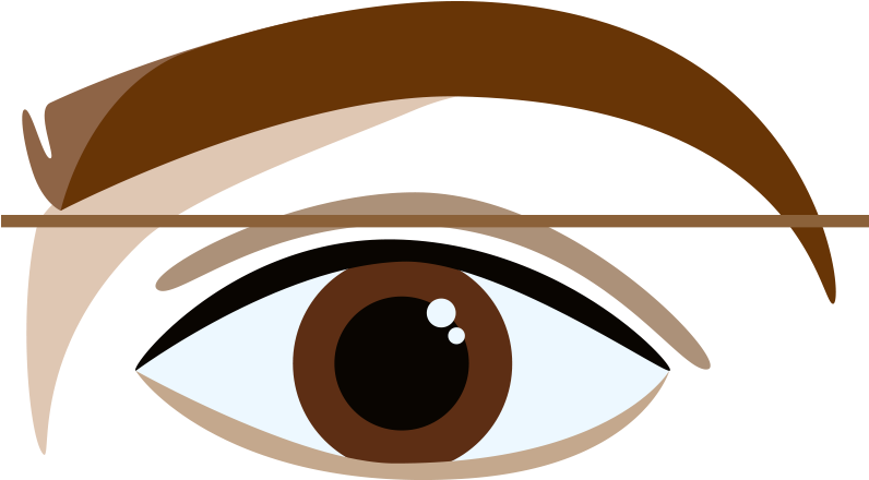 Over-extended Brow - Eyebrow (800x800), Png Download