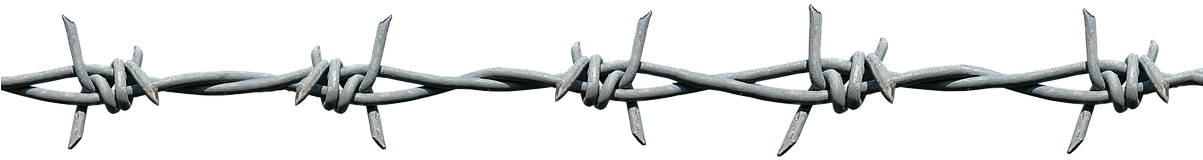 Illustrated Barb Wire Png (1202x340), Png Download