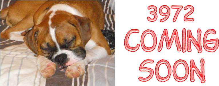 Of Getting The Dog That You Are Interested In, That - Australian Bulldog (800x300), Png Download