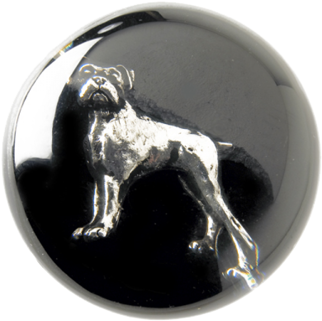 Dog Walking Stick - Canes & Walking Sticks (700x700), Png Download