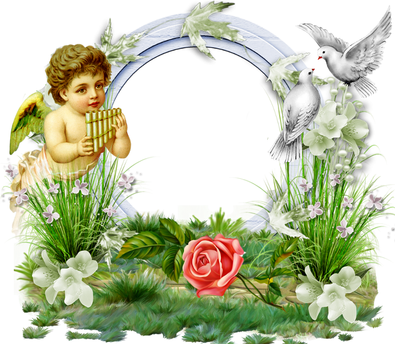 Frame With Angel (800x760), Png Download