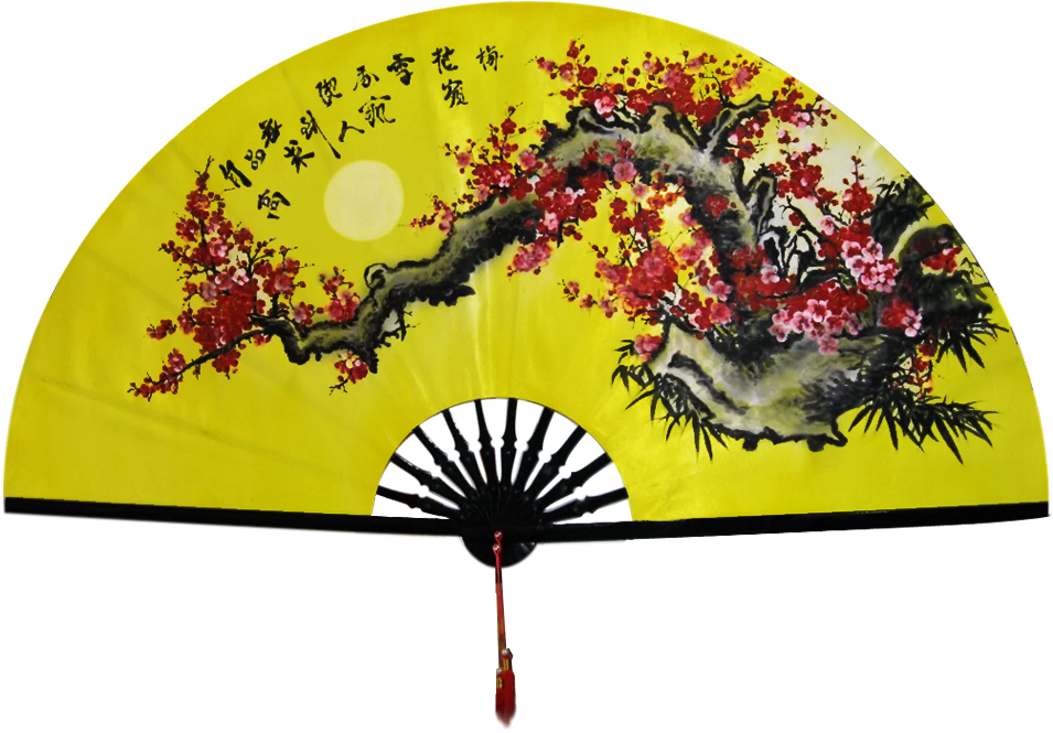 Tranh Quạt Hoa Mai - Ochna Integerrima (1005x1005), Png Download