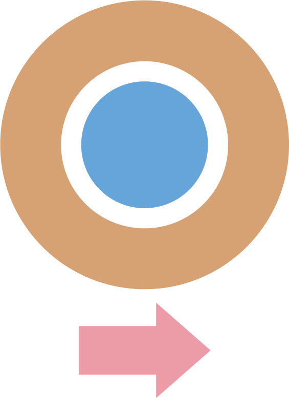 Eye Forward Inc - Circle (565x778), Png Download