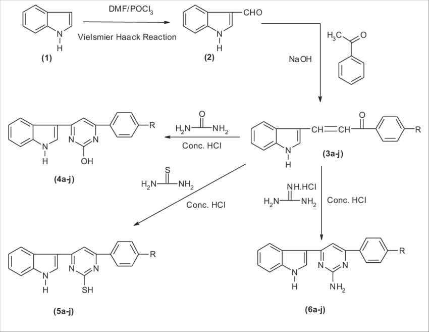 Synthesis Of Bioactive Molecules - Phenol Derived Calix Gutsche (850x657), Png Download