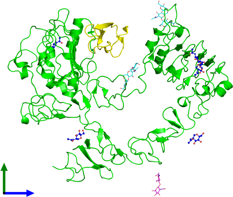 Molecules Png Hd - Human Epidermal Growth Factor Receptor Labeled (800x800), Png Download