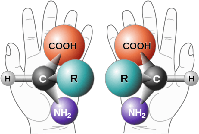 Just A Bunch Of Lefties - Amino Acid Chirality (668x453), Png Download