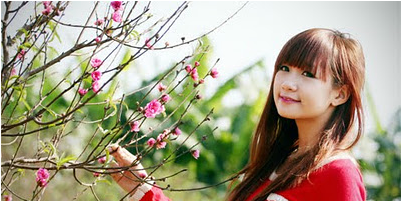 Hoa Dao Png For Kids - Ochna Integerrima (600x200), Png Download