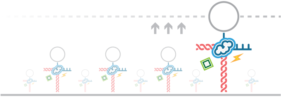 Afs Dna Transcription Small Molecules - Dna (1140x360), Png Download