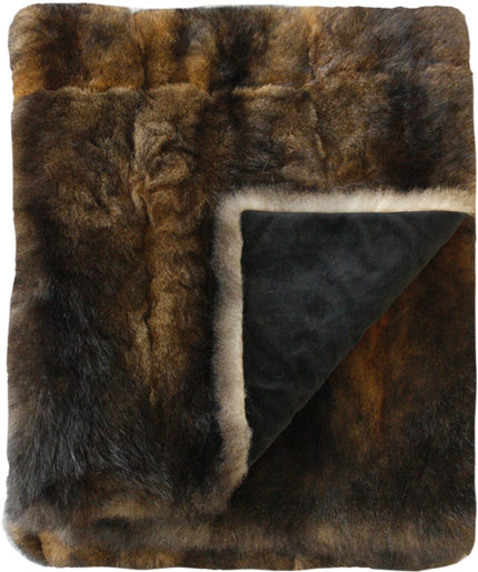 Larger Imagemove - Common Brushtail Possum (550x550), Png Download