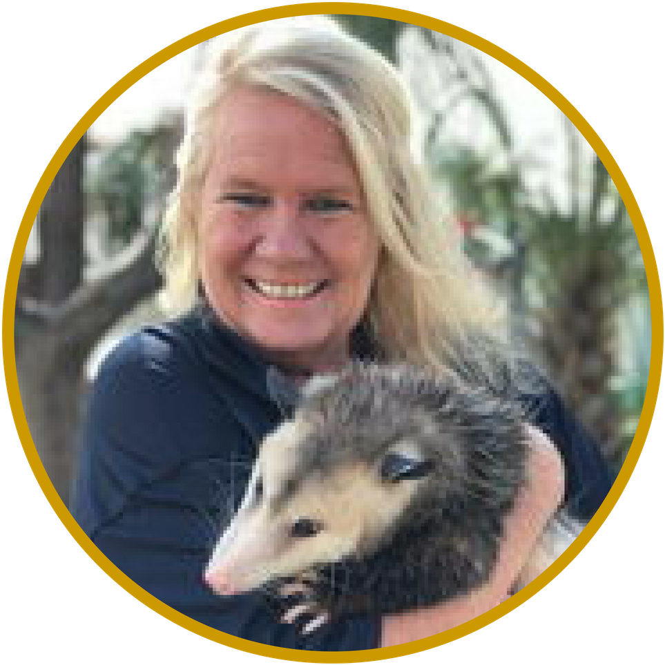 Phstaff Members - Marry Diddle - Virginia Opossum (1080x1080), Png Download