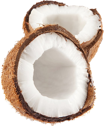 Fruit Png - Coconut (500x500), Png Download